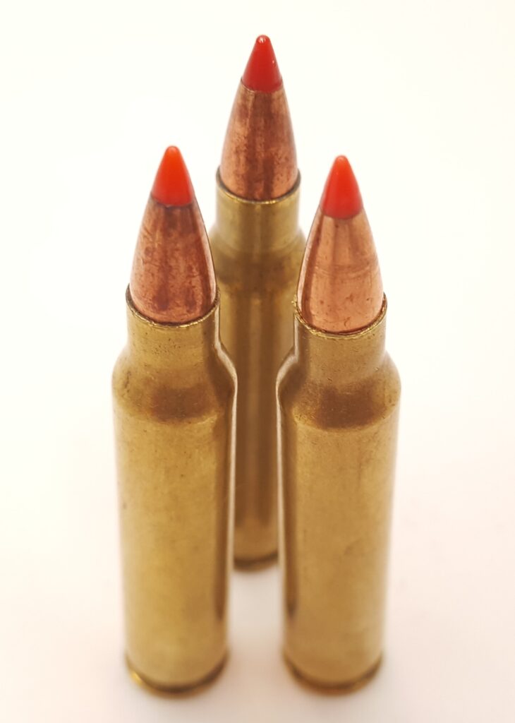 .223 Remington Varmint Ammo with 50 Grain V-Max Red Tip Bullets 50 Rounds