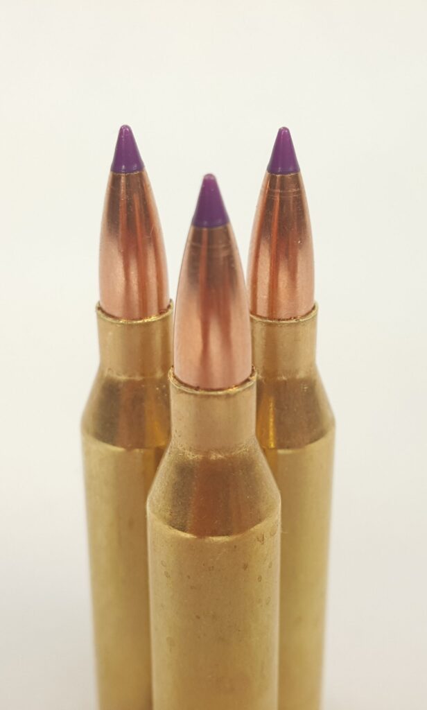 243 Winchester Ammo w/ Nosler 55 Grain Ballistic Purple Tip Varmint Bullets ~ 20 Rounds ~ In Stock Ready to Ship