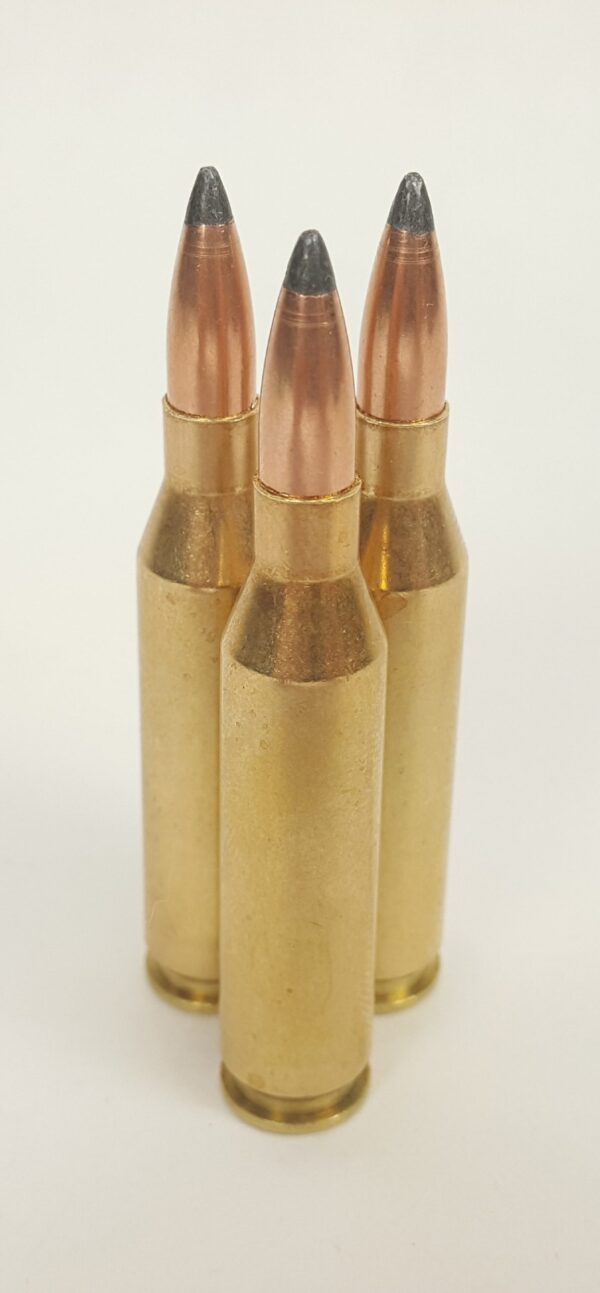 243 Winchester Deer Hunting Ammo w/95 Grain Gold Country Soft Point Bullets ~ 20 Rounds