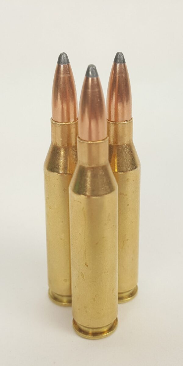 243 Winchester Deer Hunting Ammo w/95 Grain Gold Country Soft Point Bullets ~ 20 Rounds - Image 4