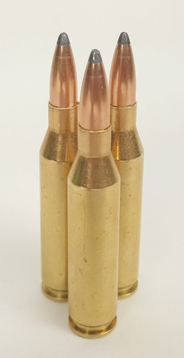 243 ammunition 95 grain Nosler hunting bullets