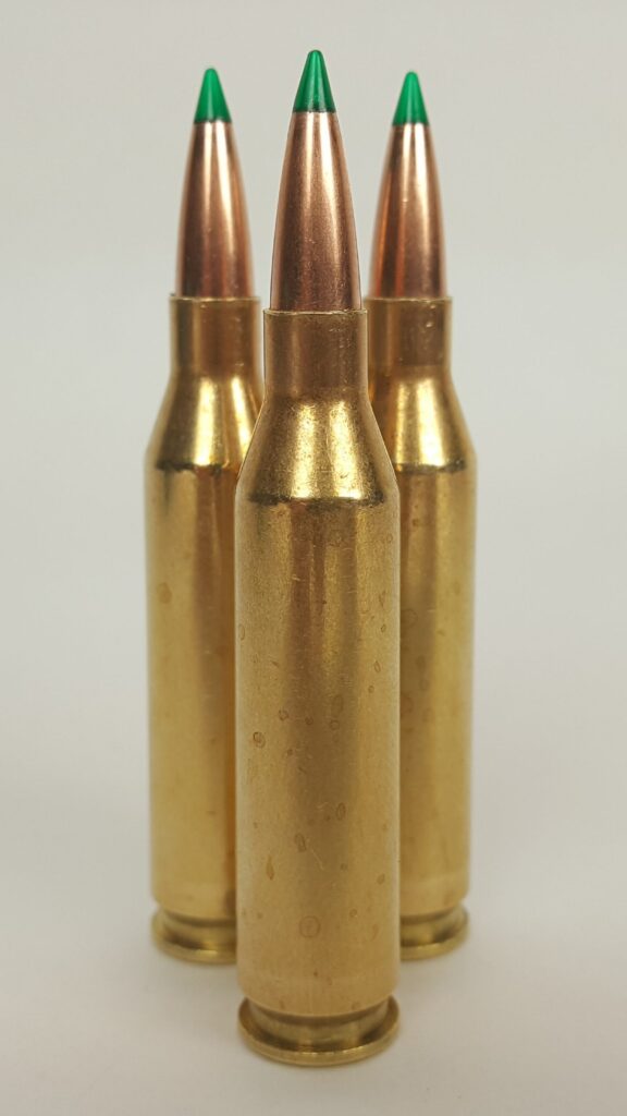 270 Winchester Ammo w/ Sierra 140 Grain Tipped GameChanger Boat Tail Bullets