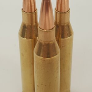 243 Winchester Ammo w/ 90 Grain Sierra GameChanger Tipped GameKing Bullets ~ In Stock Ready to Ship