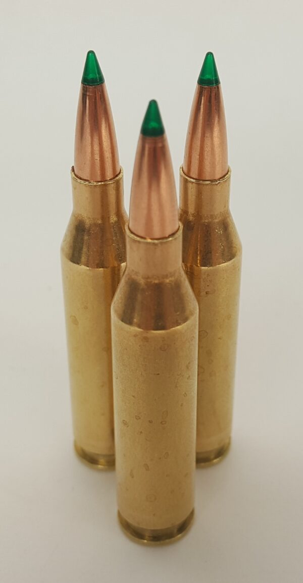 243 Winchester Ammo w/ 90 Grain Sierra GameChanger Tipped GameKing Bullets ~ In Stock Ready to Ship