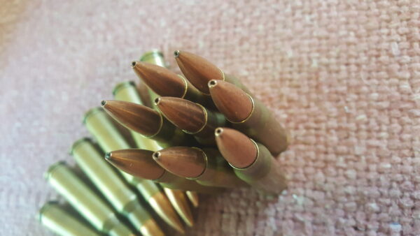 30 Caliber .308 Winchester Hunting Ammo Match Grade 135 Grain Gold Country Coyote Hollow Point FB Bullets - Image 2