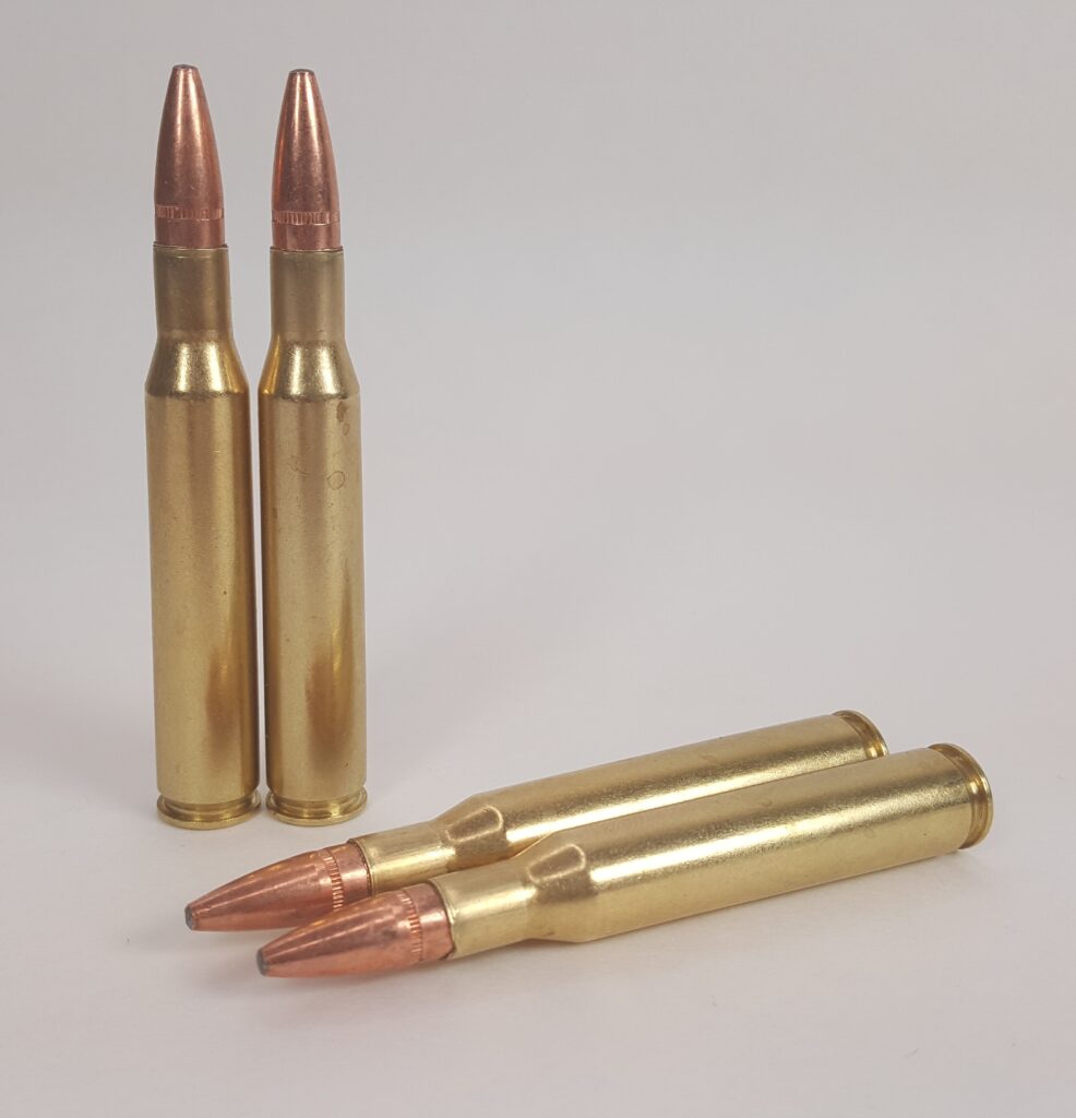 270 Winchester ammunition with 90 grain Sierra soft nose bullets