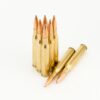 243 Hollow Point HPBT ammo