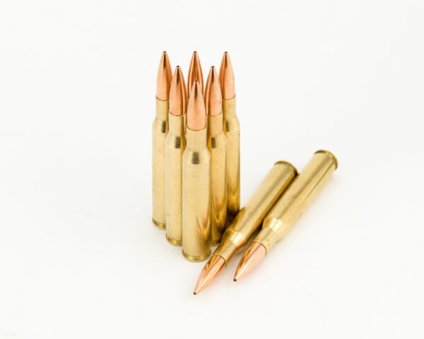243 Hollow Point HPBT ammo