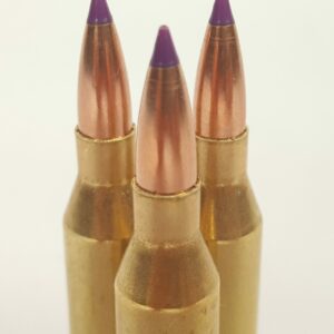 243 grain ammo with purple tip ballistic bullets