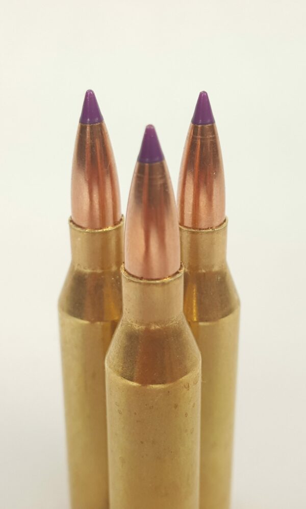 243 grain ammo with purple tip ballistic bullets