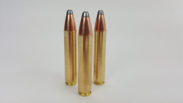 350 Legend ammunition with 170 garin Hornady SP bullets