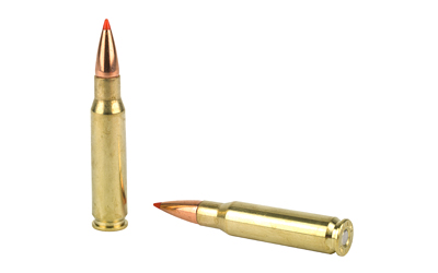 308 Winchester with Hornady SST bullets