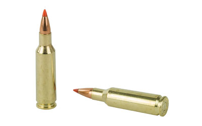 Gold Country 243 ammunition with V-max bullets