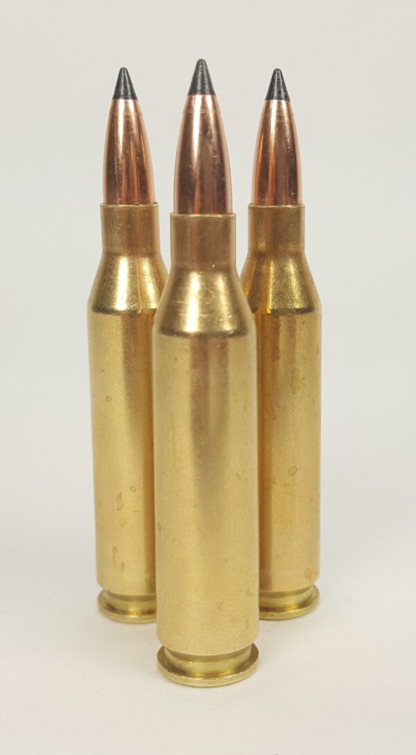 In Stock Ammo .223 Remington Ammo with 55 Grain Nosler Varmageddon Tip Bullets ~ 50 Rounds - Image 2