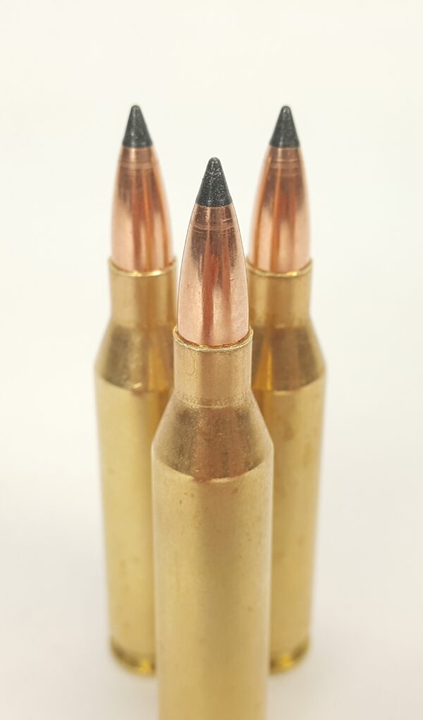 Gold Country Ammo .308 Winchester 110 Grain Nosler Varmageddon FB Tipped Bullets