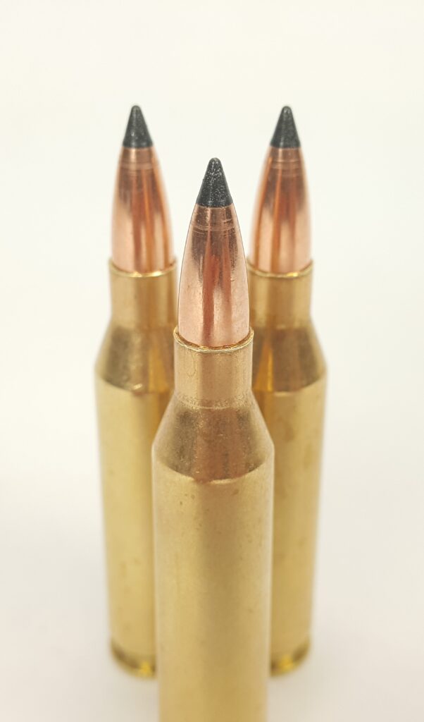 In Stock Ammo .223 Remington Ammo with 55 Grain Nosler Varmageddon Tip Bullets ~ 50 Rounds