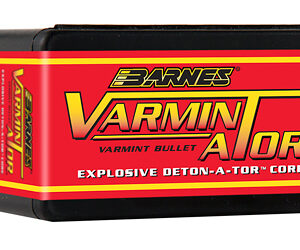 Barnes VARMINATOR .243 Diameter 6MM/243 Winchester 58 Grain Flat Bottom Hollow Point 100 Count 30207