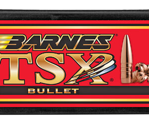 Barnes TSX .458 Diameter 45-70 Government 300 Grain Flat Nose Hollow Point California Certified Nonlead 20 Count 30630