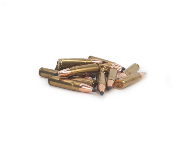 300 blackout with Nosler 110 grain Varmageddon tipped bullets