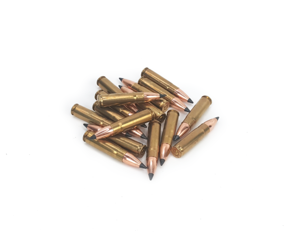 .300 AAC Blackout Gold Country Hunting Varmint Ammo 110 Grain Nosler Varmageddon FB Tipped Bullets 50 Rounds - Image 2