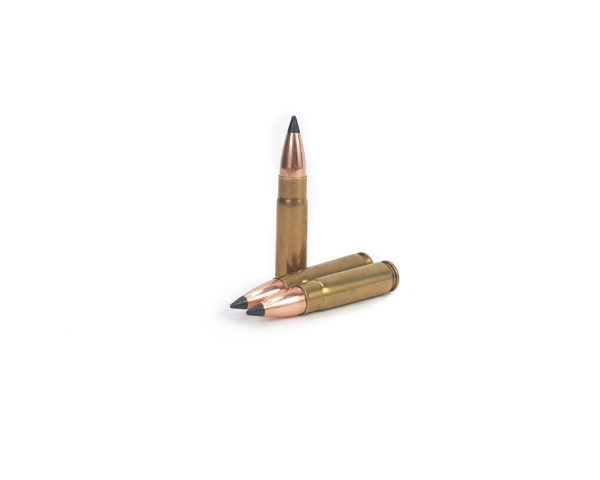 300 blackout with Nosler 110 grain Varmageddon tipped bullets