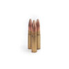 Gold Country .300 AAC Blackout Ammo, Varmint 135 Grain Gold Country Coyote Hollow Tip FB Bullets 50 Rounds - Image 2