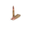 300 AAC Blackout ammunition Gold Country Coyote 135 grain bullets