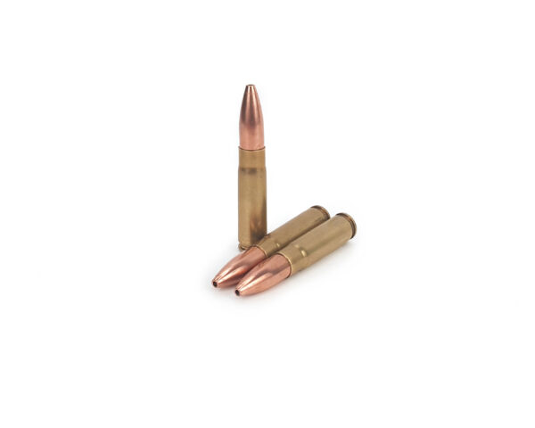 300 AAC Blackout ammunition Gold Country Coyote 135 grain bullets