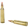 FIOCCHI 22-250REM 55GR VMAX 20/200 - Image 4