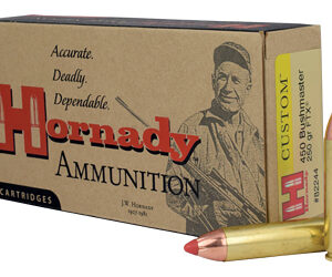 Hornady Custom 450 Bushmaster 250 Grain FlexTip 20 Round Box 82244