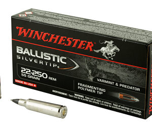 Winchester Ammunition Supreme 22-250 55 Grain Supreme Ballistic Silvertip 20 Round Box SBST22250B
