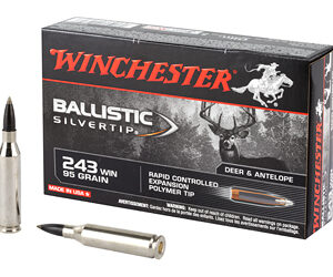 Winchester Ammunition Supreme 243WIN 95 Grain Supreme Ballistic Silvertip 20 Round Box SBST243A