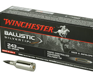 Winchester Ammunition Ballistic Silvertip 243 Super Short Magnum 95 Grain Poly Tip 20 Round Box SBST243SSA