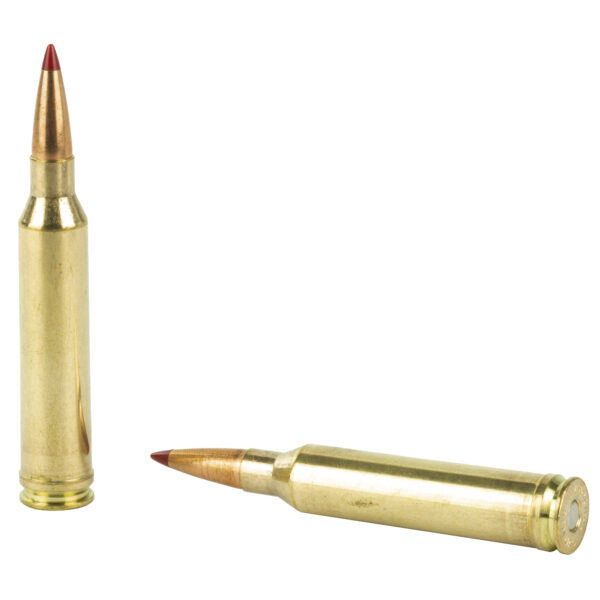 243 Winchester 95 Grain Hunting Ammo 95 Grain Hornady SST Bullets ~ 20 Rounds
