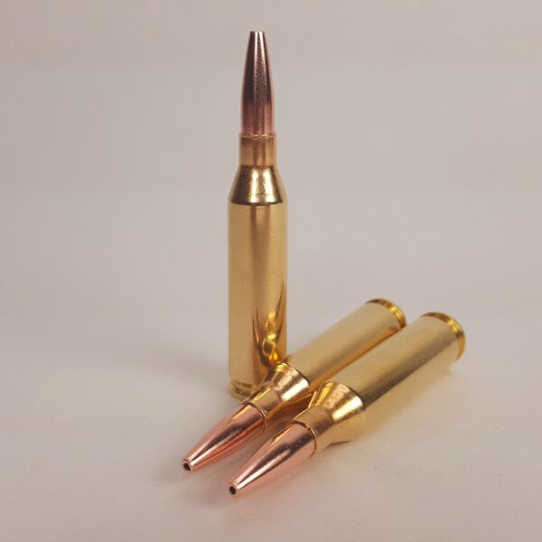 243 Winchester Ultra Low Drag 100 grain hollow tip bullets
