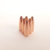 243 caliber, 6mm bullets Gold Country 69 grain bullets