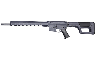 RISE WATCHMANXR .22ARC 18" 10RD GRAY