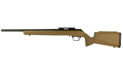 SPRGFLD 2020 RF 22LR 20" COY 10RD