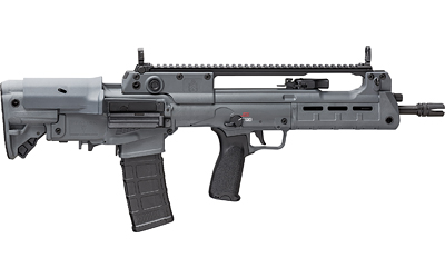SPRGFLD HELLION 556 16" 30RD GRY GU
