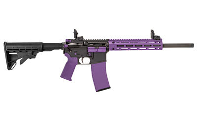 TIPPMANN M4-22 ACCENT 22LR 25RD PRP
