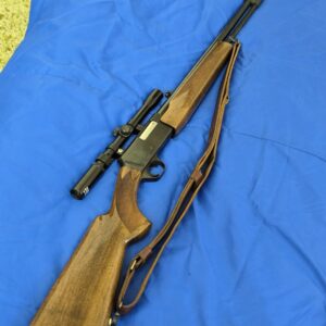 Where Precision Meets Tradition — Browning .22 LR Semi-Auto Rifle (20" Barrel) with Bushnell Sportview Optic